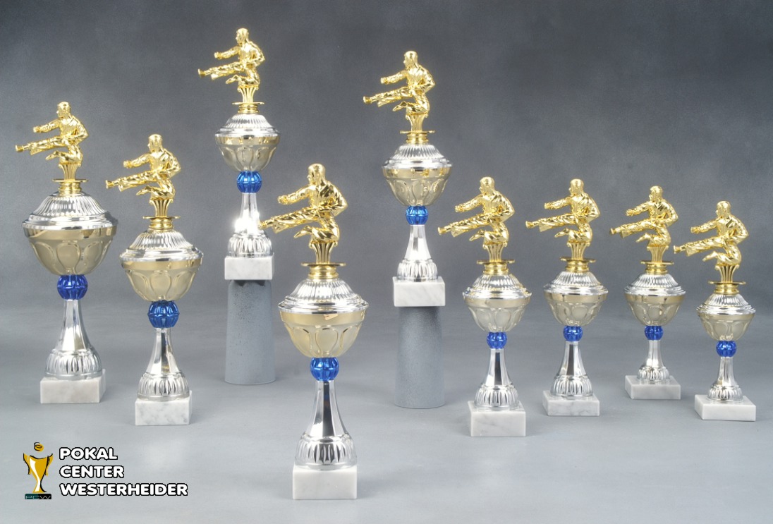 Taekwondo Pokale 'Boston' 7040-38235 Taekwondo Pokale 'Boston' 7040-38235