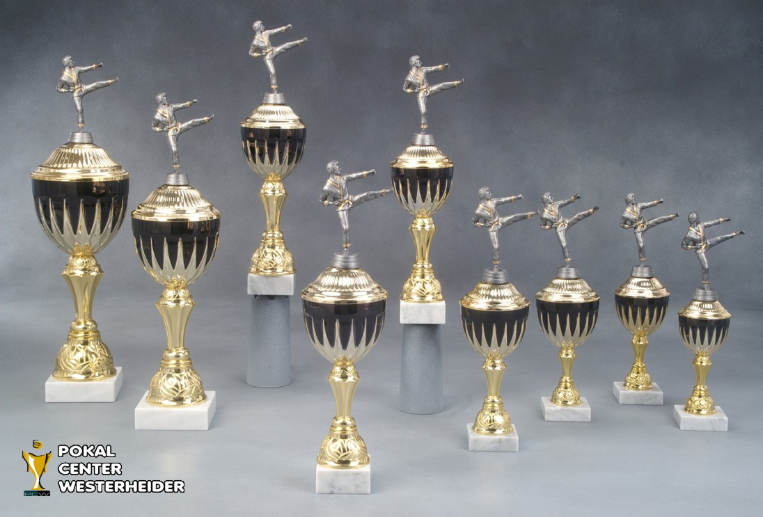 Karate Pokale 'Colombo' 7024-34280