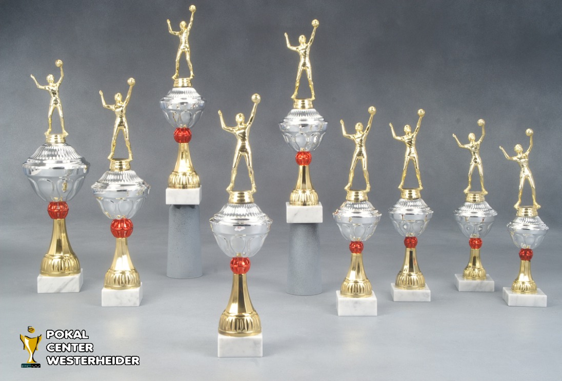 Volleyball Pokale 'Houston' 7039-34634