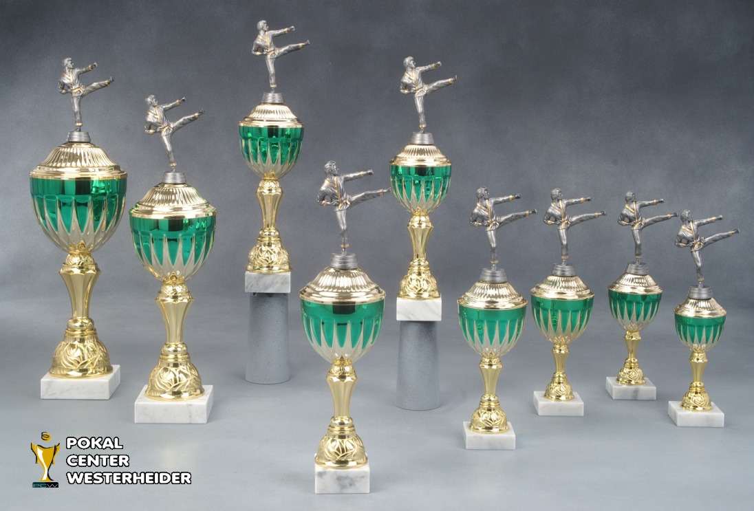 Karate Pokale 'Sirius' 7023-34280