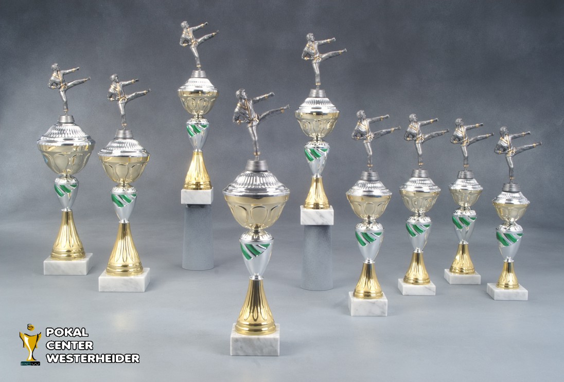 Karate Pokale 'Turin' 7017-34280