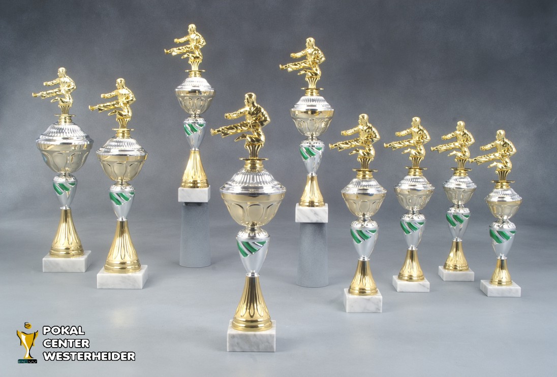 Taekwondo Pokale 'Turin' 7017-38235 Taekwondo Pokale 'Turin' 7017-38235