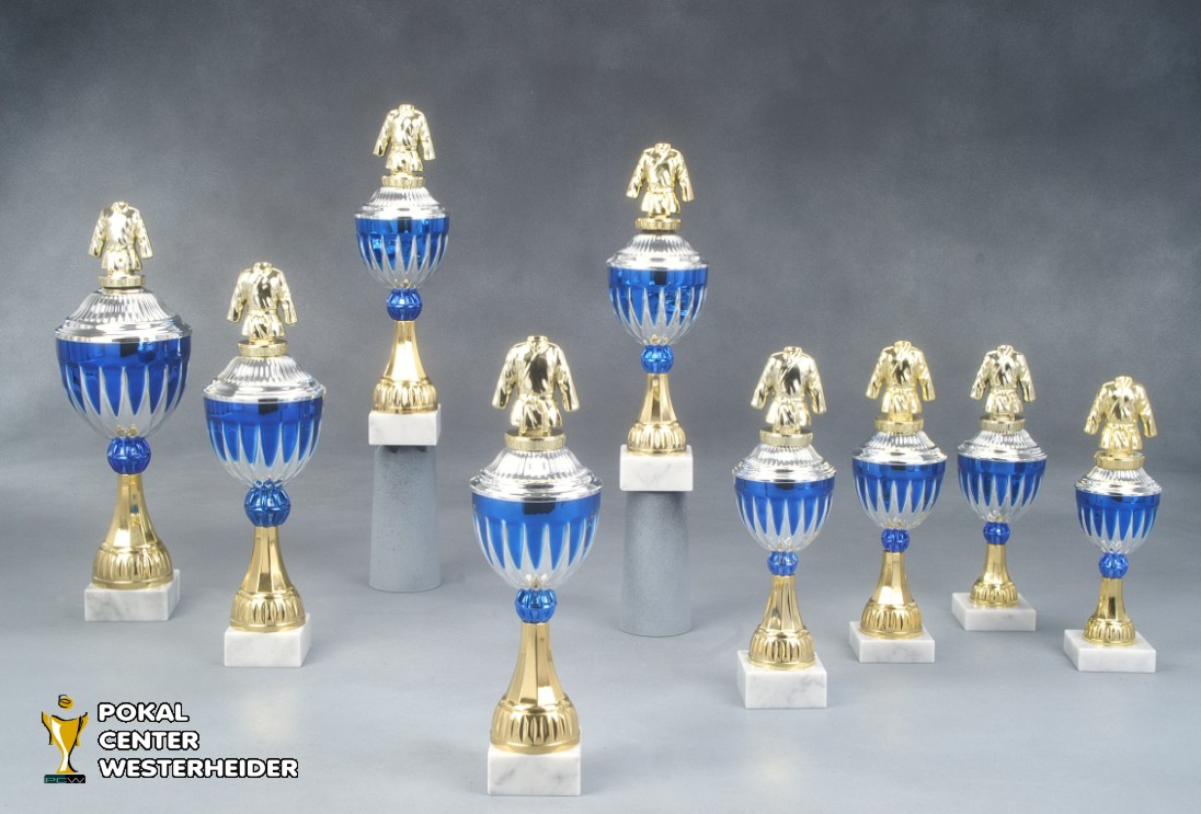 Judo Pokale 'Chicago' 7037-BP009-37 cm