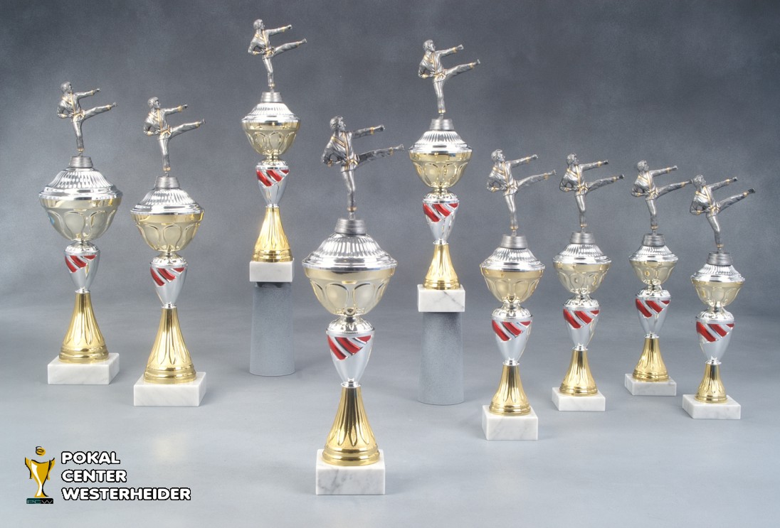 Karate Pokale 'Verona' 7018-34280