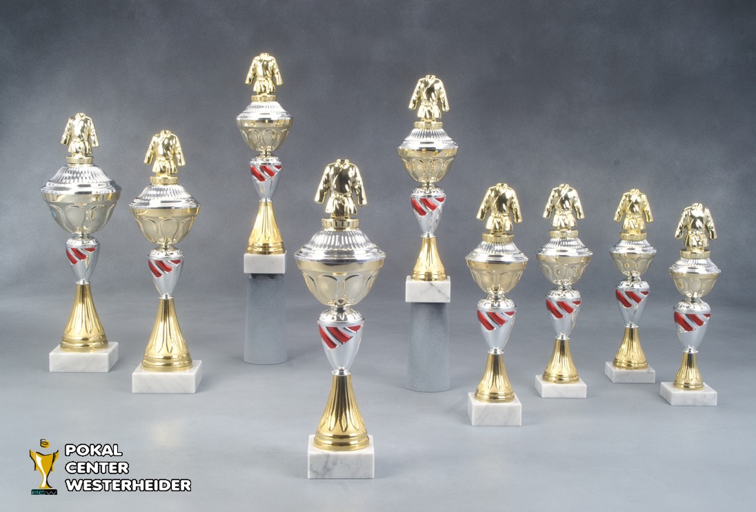 Judo Pokale 'Verona' 7018-BP009-29 cm