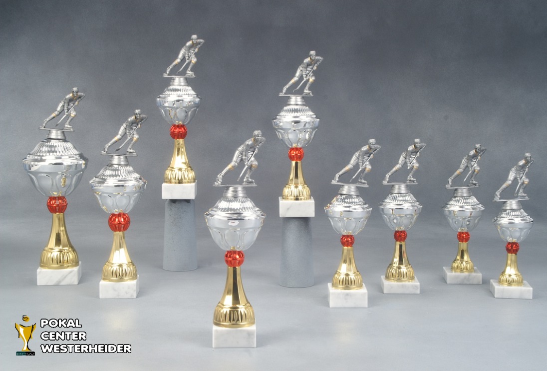 Eishockey Pokale 'Houston' 7039-34126