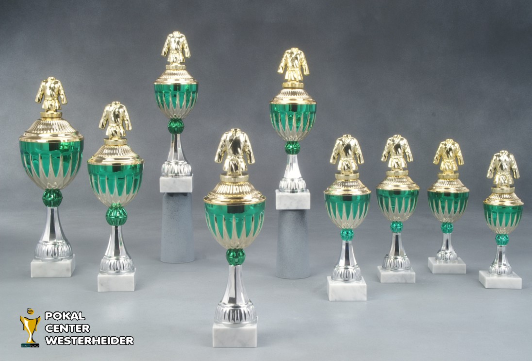 Judo Pokale 'Phoenix' 7041-BP009
