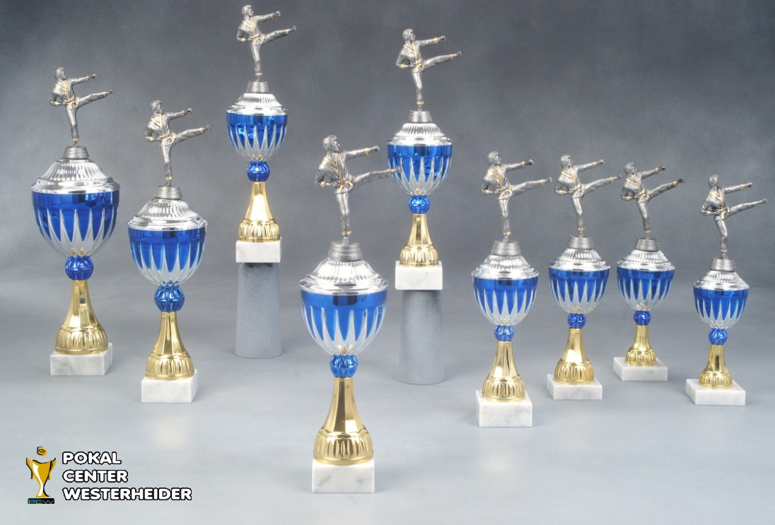 Karate Pokale 'Chicago' 7037-34280
